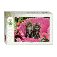 Пазл. 2000 "Милые котята"